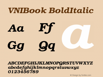 VNIBook BoldItalic Version 001.000 Font Sample