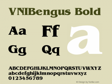 VNIBengus Bold Version 001.000图片样张