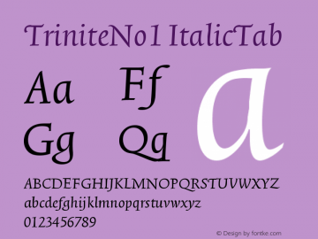 TriniteNo1 ItalicTab Version 001.000 Font Sample