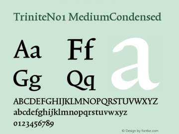 TriniteNo1 MediumCondensed Version 001.000 Font Sample