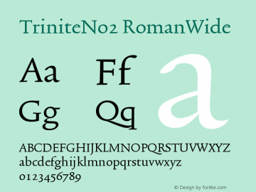 TriniteNo2 RomanWide Version 001.000 Font Sample