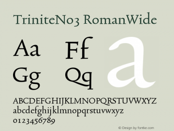 TriniteNo3 RomanWide Version 001.000 Font Sample