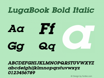 LugaBook Bold Italic Version 1.000;PS 001.001;hotconv 1.0.38 Font Sample