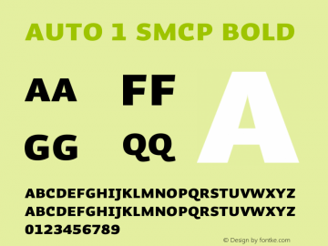 Auto 1 SmCp Bold Version 1.111;PS 001.001;hotconv 1.0.38 Font Sample