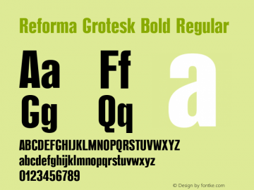 Reforma Grotesk Bold Regular Version 1.000;PS 001.001;hotconv 1.0.38 Font Sample