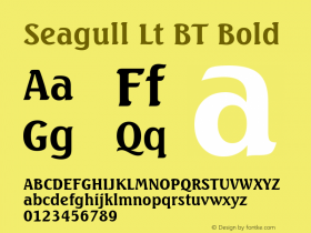 Seagull Lt BT Bold mfgpctt-v4.4 Dec 22 1998图片样张