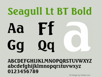 Seagull Lt BT Bold mfgpctt-v1.52 Monday, January 25, 1993 3:26:06 pm (EST) Font Sample