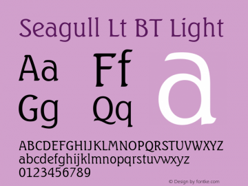 Seagull Lt BT Light mfgpctt-v1.52 Monday, January 25, 1993 3:25:42 pm (EST) Font Sample