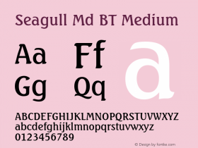Seagull Md BT Medium mfgpctt-v4.4 Dec 22 1998 Font Sample