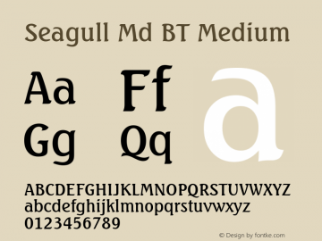 Seagull Md BT Medium mfgpctt-v1.53 Monday, February 1, 1993 1:26:20 pm (EST) Font Sample