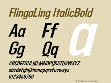 FlingaLing ItalicBold Version 001.000 Font Sample