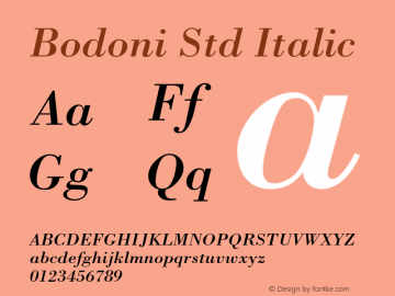 Bodoni Std Italic OTF 1.022;PS 001.004;Core 1.0.31;makeotf.lib1.4.1585图片样张