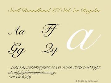 Snell Roundhand LT Std Scr Regular OTF 1.029;PS 001.004;Core 1.0.33;makeotf.lib1.4.1585 Font Sample