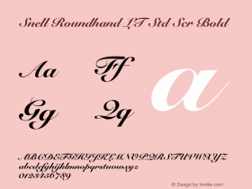 Snell Roundhand LT Std Scr Bold OTF 1.029;PS 001.004;Core 1.0.33;makeotf.lib1.4.1585 Font Sample