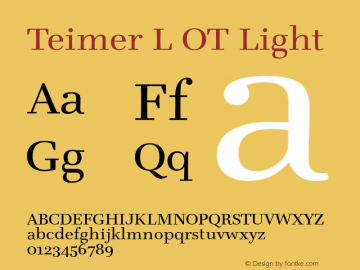 Teimer L OT Light Version 1.000 2006 initial release图片样张