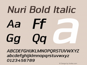 Nuri Bold Italic 001.000 Font Sample