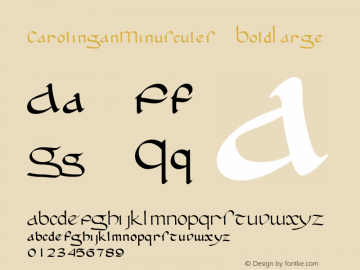 CarolinganMinuscules BoldLarge Version 001.000 Font Sample