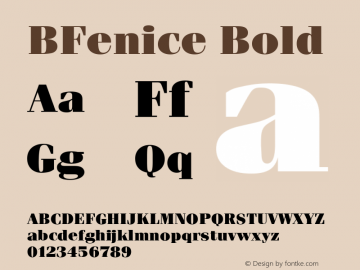 BFenice Bold Version 4.00 April 15, 2007图片样张