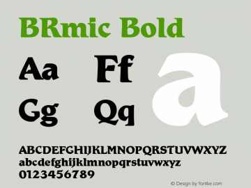 BRmic Bold Version 4.00 April 23, 2007 Font Sample