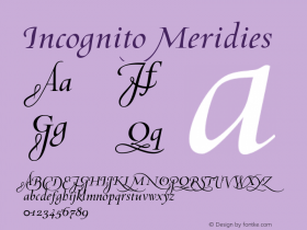 Incognito Meridies 001.000 Font Sample