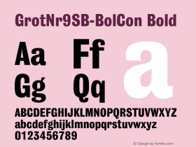 GrotNr9SB-BolCon Bold 001图片样张