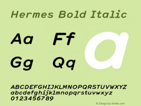 Hermes Bold Italic 001.000图片样张
