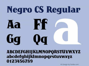 Negro CS Regular 001.000 Font Sample