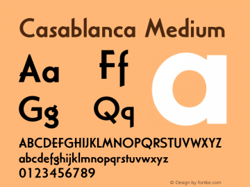 Casablanca Medium 4.0图片样张