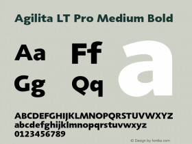 Agilita LT Pro Medium Bold Version 1.000;PS 001.000;hotconv 1.0.38图片样张