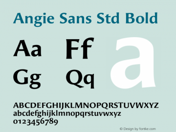 Angie Sans Std Bold Version 1.000 Font Sample