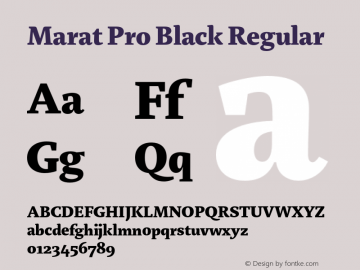 Marat Pro Black Regular Version 1.000图片样张