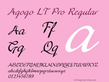 Agogo LT Pro Regular Version 1.000;PS 001.000;hotconv 1.0.38图片样张