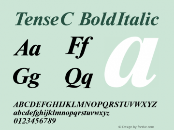 TenseC BoldItalic 1.100.000 Font Sample