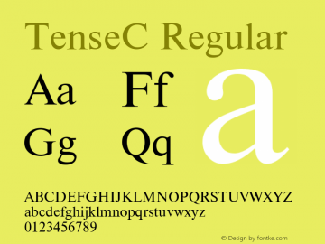 TenseC Regular 1.100.000图片样张