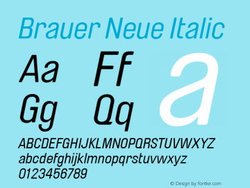 Brauer Neue Italic Version 1.001 Font Sample