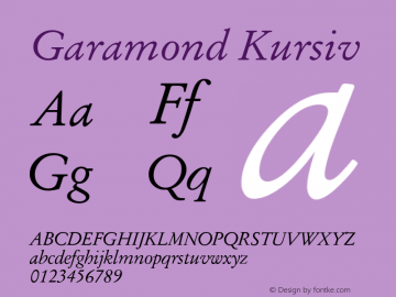 Garamond Kursiv 19: 91546: 1998图片样张