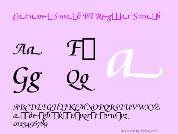 Cataneo Swash BT Regular Swash mfgpctt-v1.65 Tuesday, August 10, 1993 12:53:31 pm (EST) Font Sample