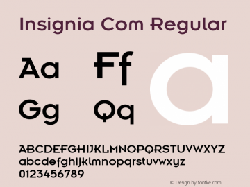 Insignia Com Regular Version 1.01 Font Sample