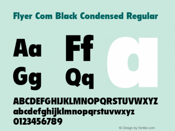 Flyer Com Black Condensed Regular Version 1.01图片样张