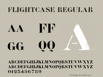 Flightcase Regular 001.000图片样张