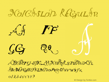 NotCaslon Regular 001.000图片样张