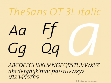 TheSans OT 3L Italic Version 1.002 2007 Font Sample
