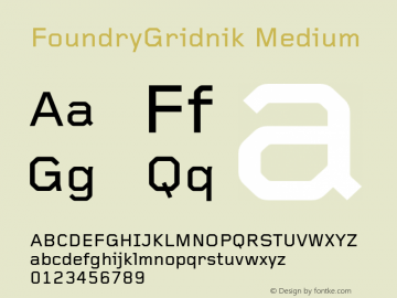 FoundryGridnik Medium 001.000图片样张