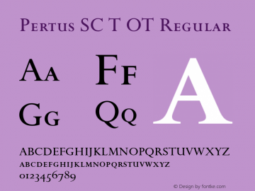 Pertus SC T OT Regular OTF 1.001;PS 1.05;Core 1.0.27;makeotf.lib(1.11) Font Sample