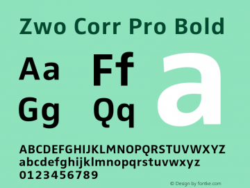 Zwo Corr Pro Bold Version 7.502; 2007图片样张