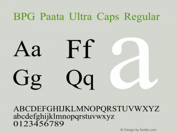 BPG Paata Ultra Caps Regular Version 2.005 2008图片样张