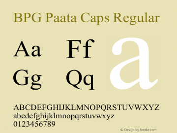 BPG Paata Caps Regular Version 2.005 2008 Font Sample