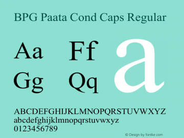 BPG Paata Cond Caps Regular Version 2.005 2008图片样张