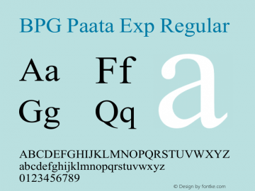 BPG Paata Exp Regular Version 2.005 2008 Font Sample