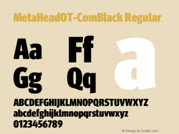 MetaHeadOT-ComBlack Regular Version 7.504; 2005; Build 1002图片样张
